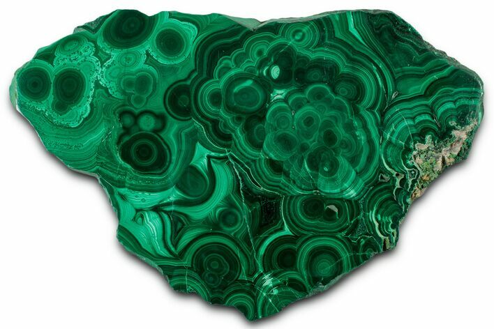 Flowery Polished Malachite Slab - DR Congo #350828